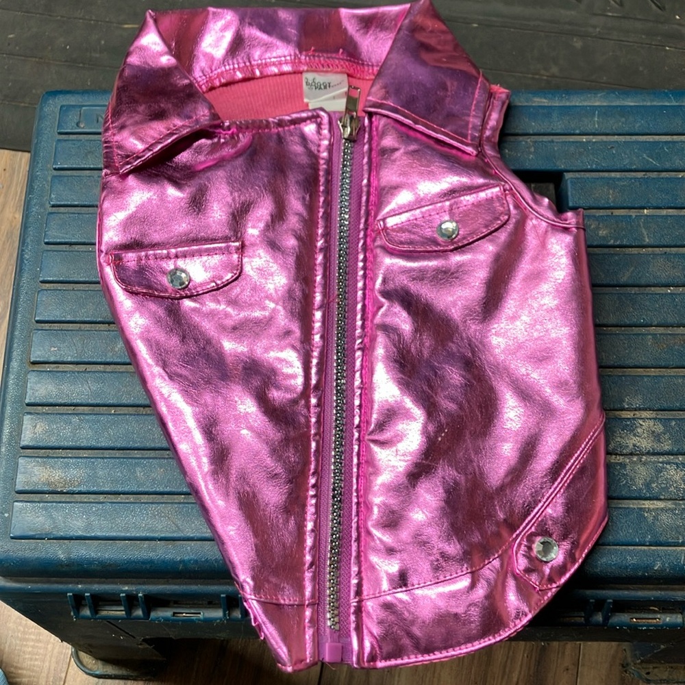 Dolly Parton hot pink dog vest